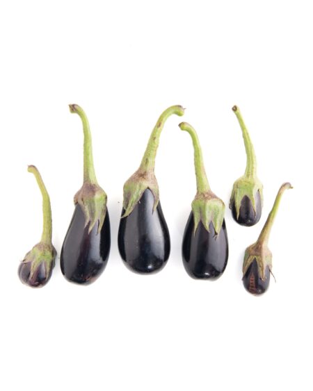 Nadia Eggplant