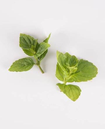 English Mint