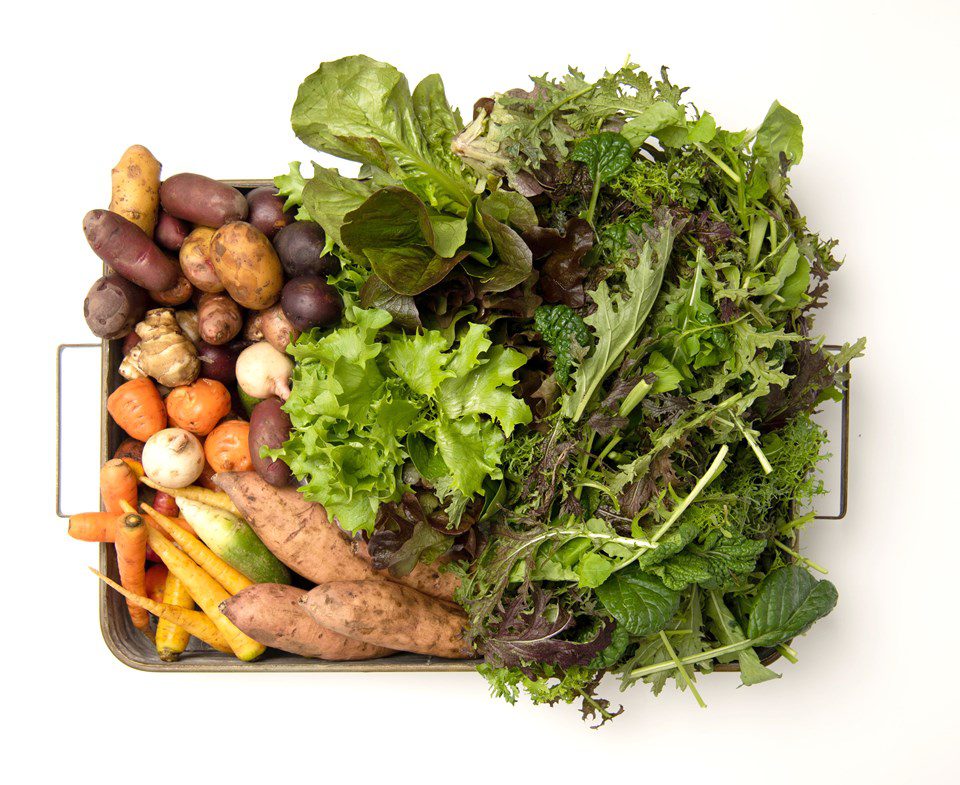 Farm-fresh Vegetables: A Rainbow of Possibilities to Enjoy