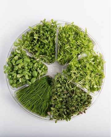 Fines Herbs™ Small Bites