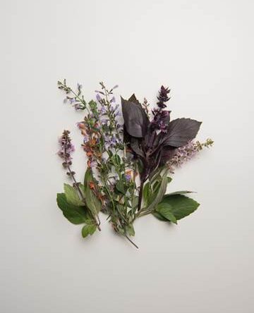 Flowering Herb Sampler