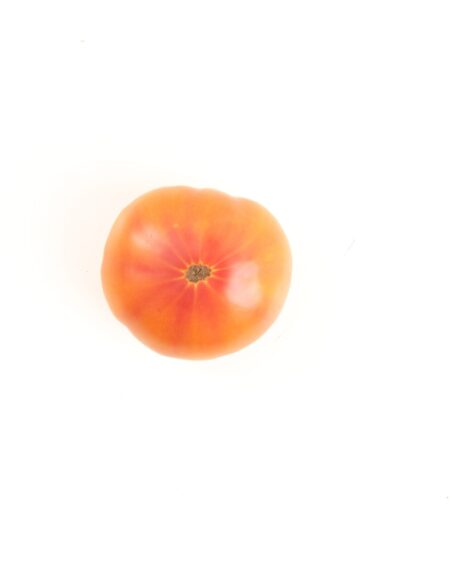 Gin Fizz Tomato