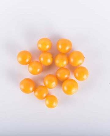 Gold Rush Currant