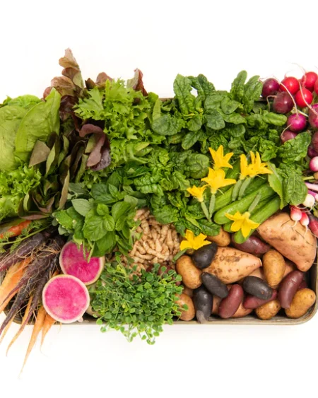 Gourmet Vegetable Box Subscription