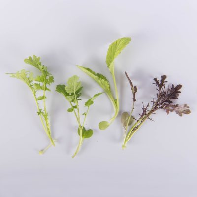 Mixed Mustard