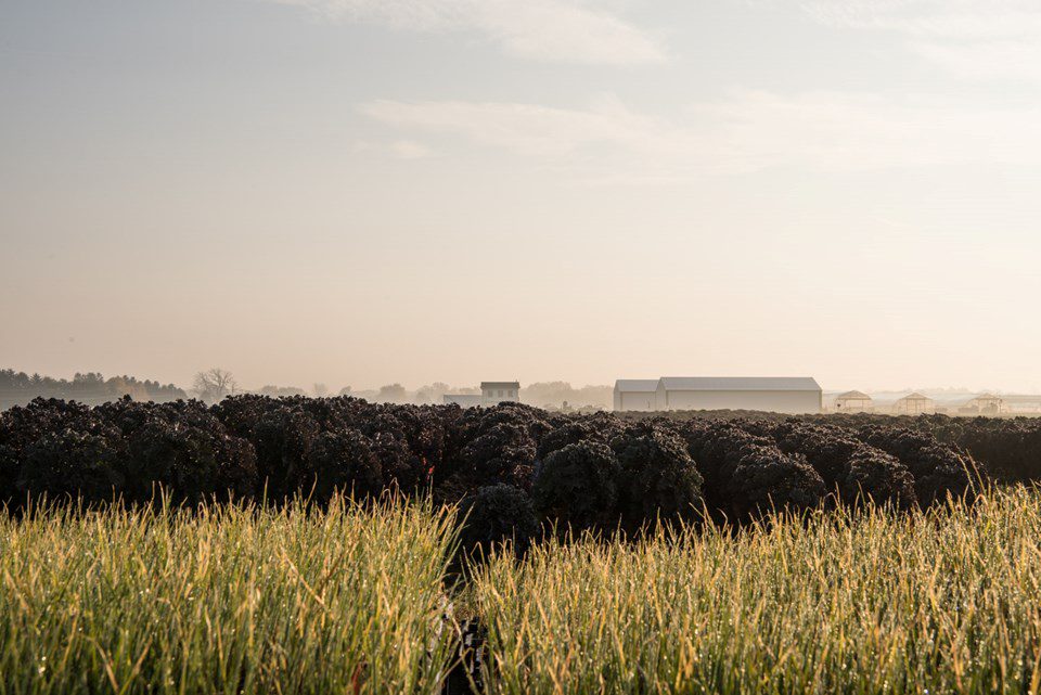 Happy New Year: 2016 In Review