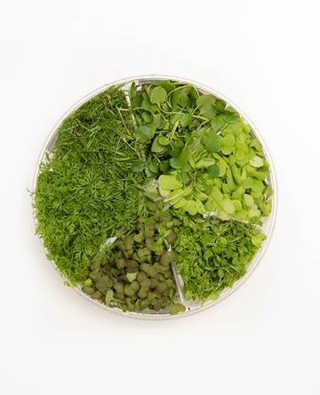 Healthy Blend™ Small Bites