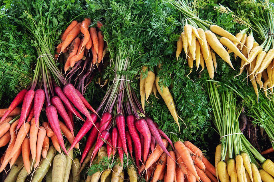 Carrots: Crunchy, Colorful, and Packed with Nutrients