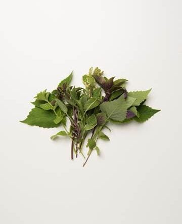 Herb Sampler