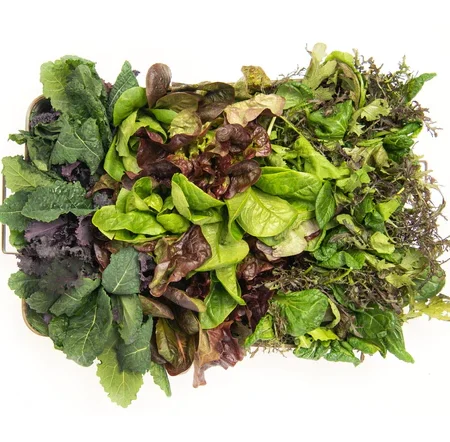 High Nitrate Fresh Greens Box Subscription