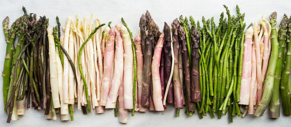 Incredible Diversity of Fresh Asparagus: Colors and Sizes