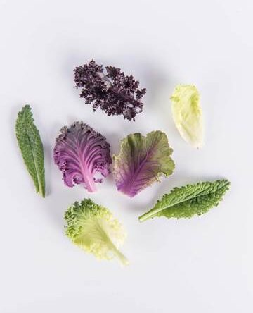 Exotic Kale