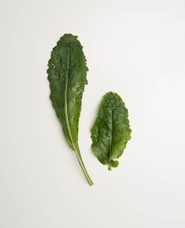 Lacinato Kale