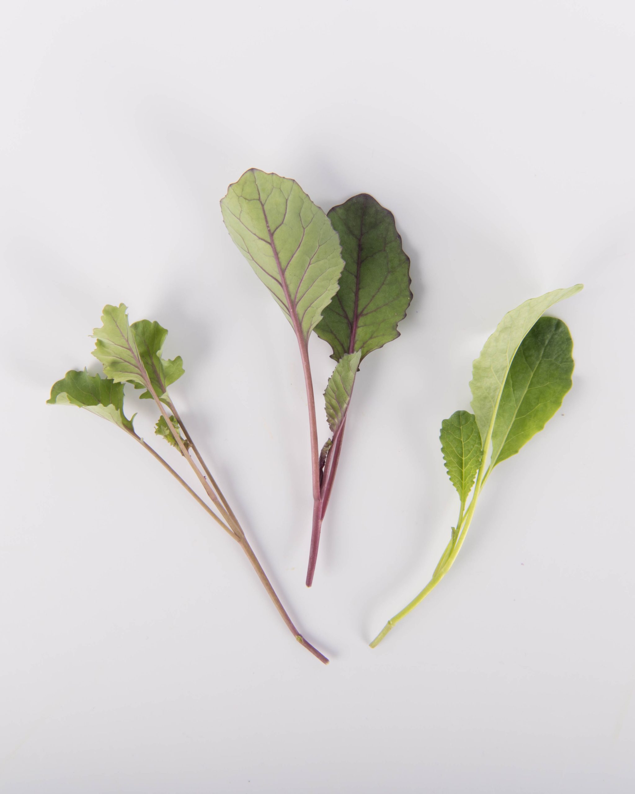 Kale