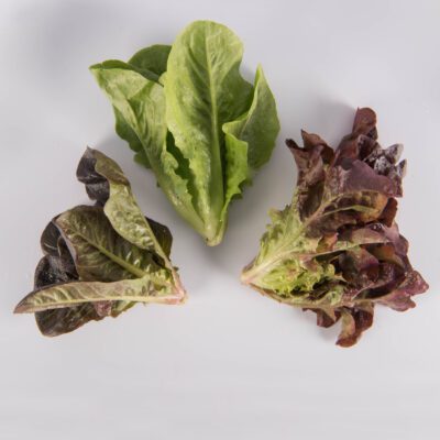 Mixed Lettuce