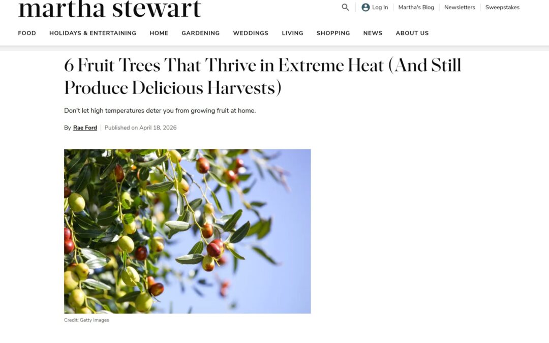 6 Fruit Trees that Thrive in Extreme Heat (And Still Produce Delicious Harvests)