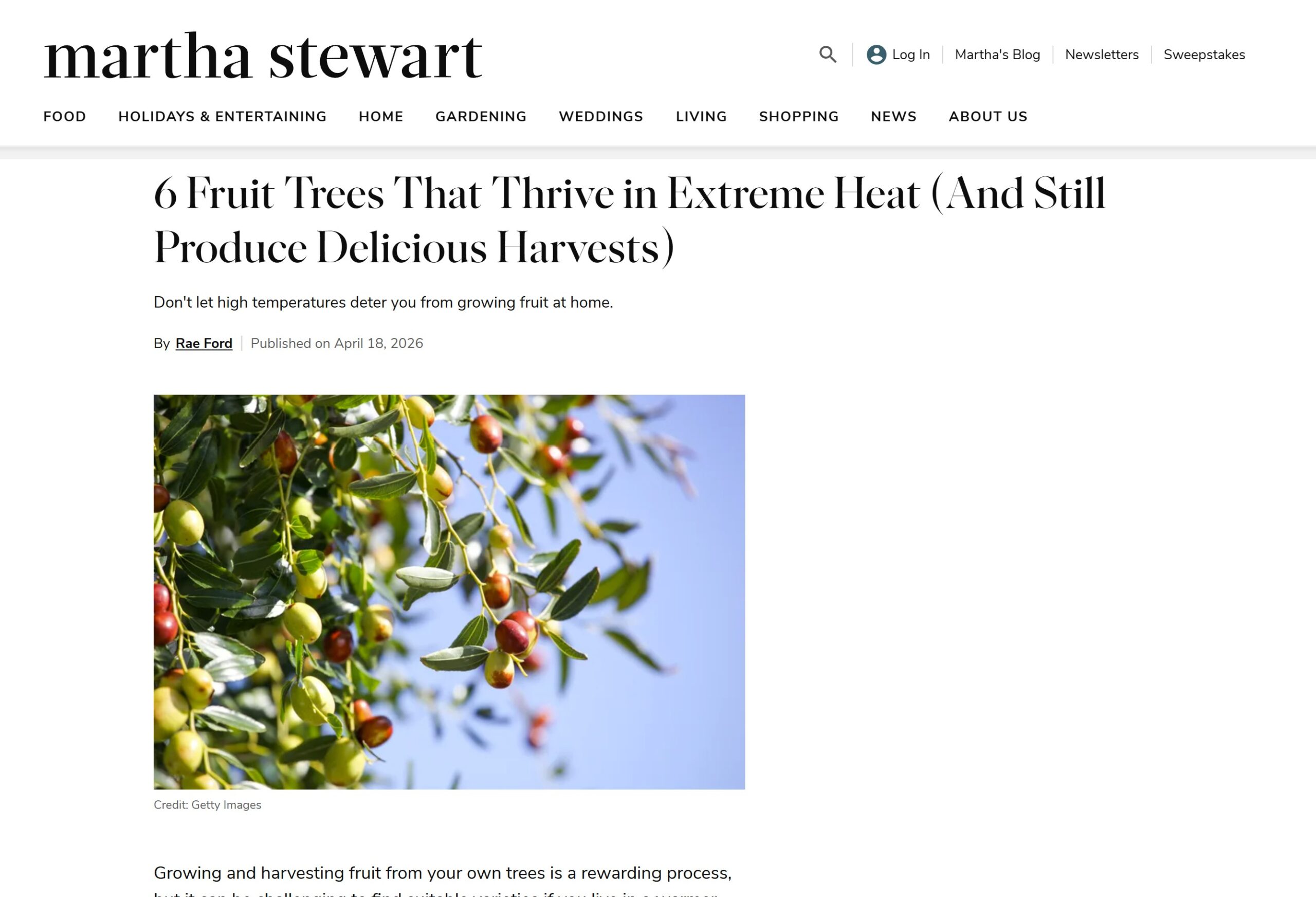 6 Fruit Trees that Thrive in Extreme Heat (And Still Produce Delicious Harvests)