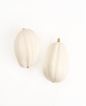 White Mashed Potato Squash