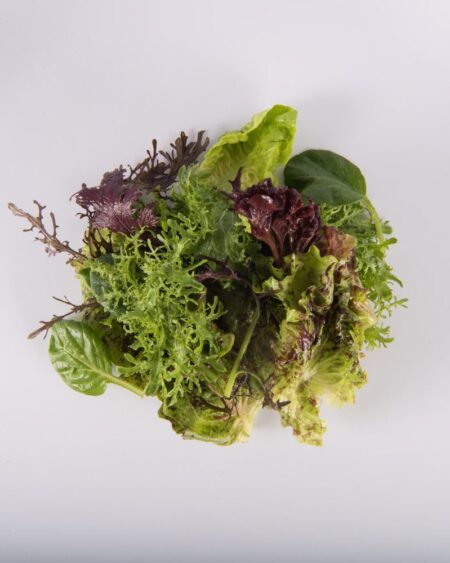 Traditional Mesclun