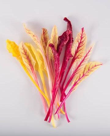 Mixed Beet Blush