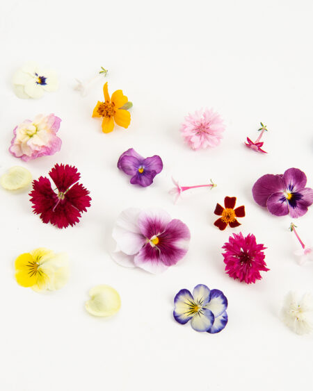 Mixed Flowers