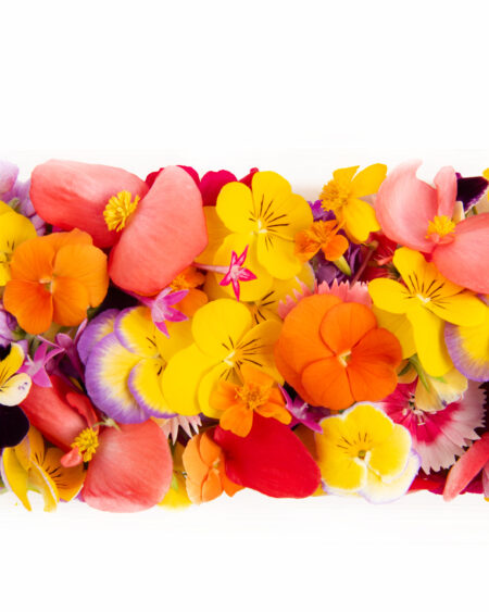 Summer Mixed Flowers