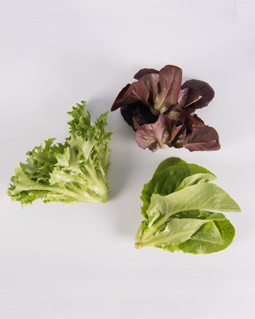 Mixed Lettuce