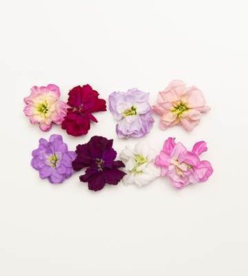 Mixed Mini Floret