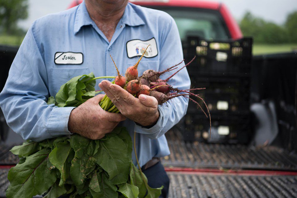 Mixing Methods Maximizes Beets’ Appeal