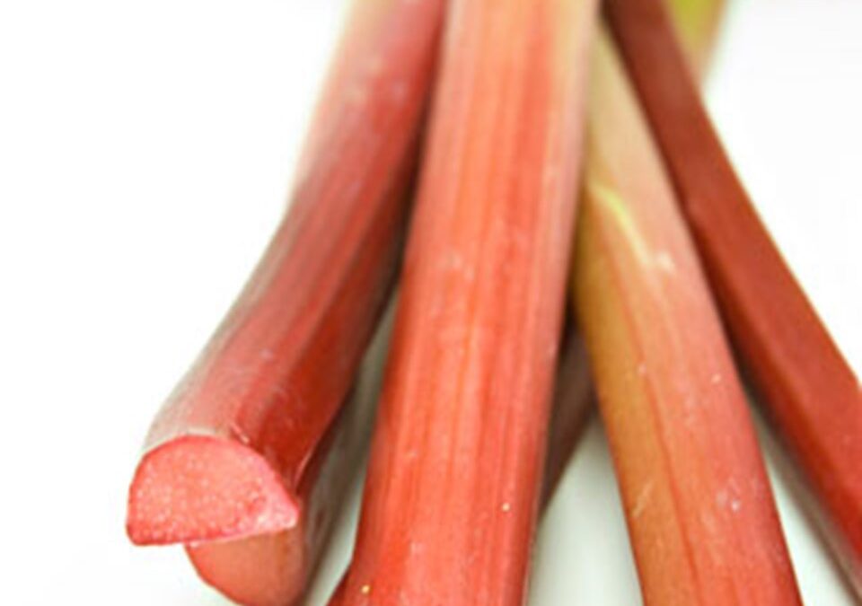 Mr. Frye’s Rhubarb