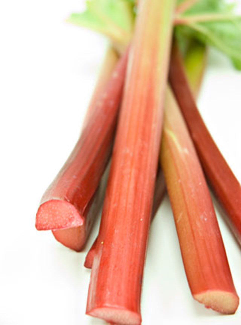 Mr. Frye’s Rhubarb