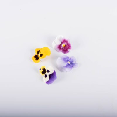 Mixed Pansy