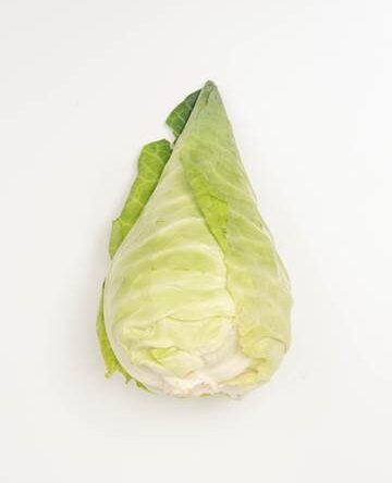 Arrowhead Cabbage