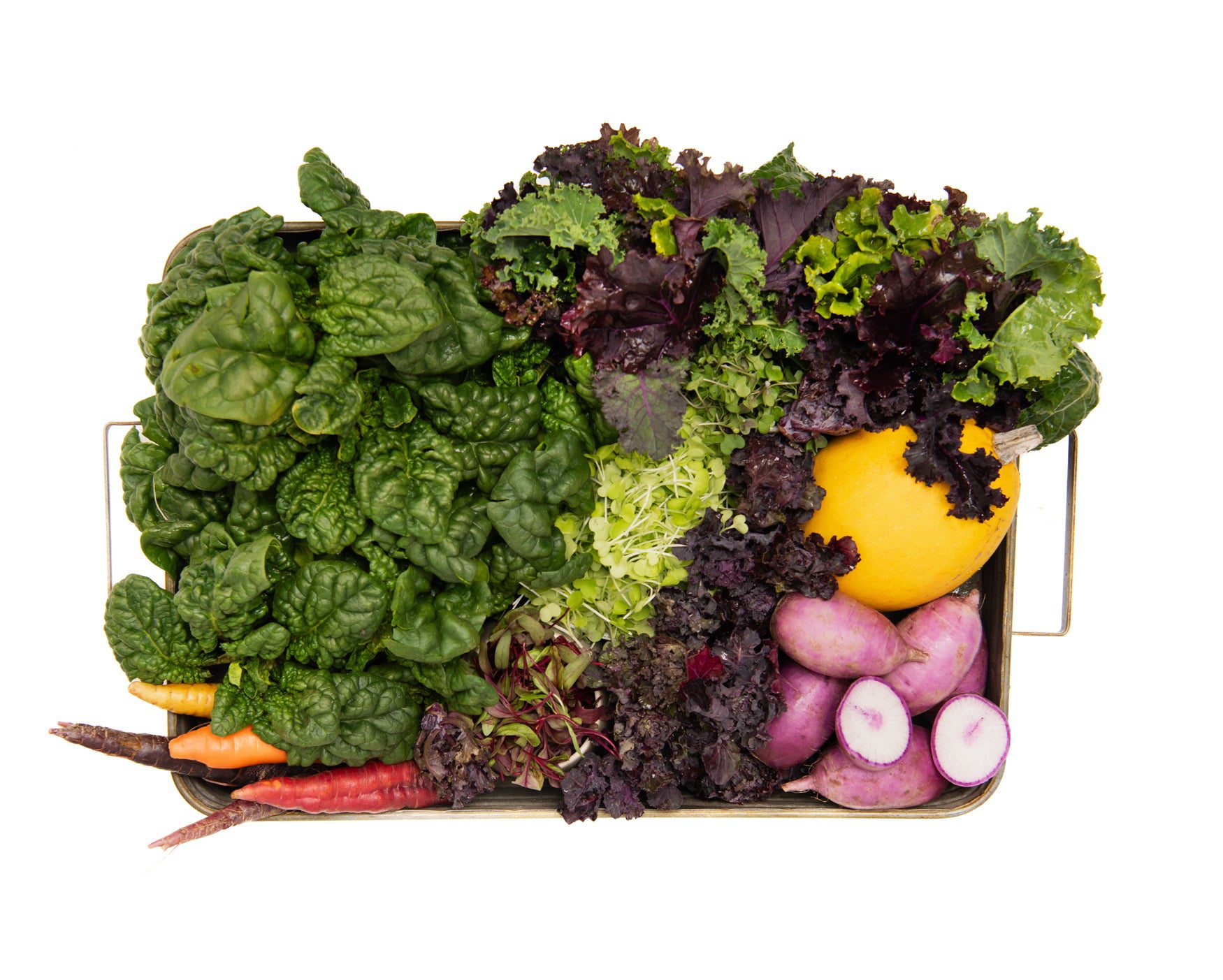 Powerhouse Vegetable Box