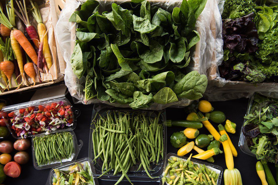 Products with Purpose: Our Farm’s Philosophies