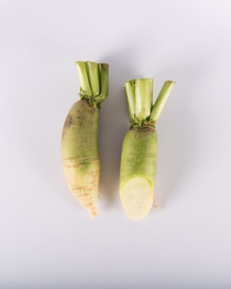 Lime Radish