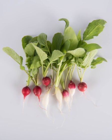 Petite Mixed Radish
