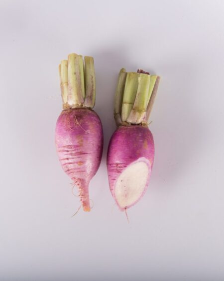 Purple Ninja Radish
