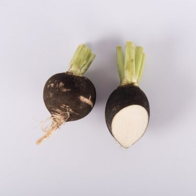 Black Round Radish