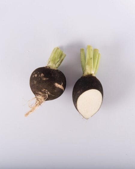 Black Round Radish