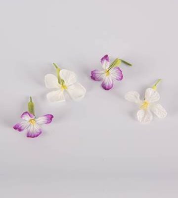 Rat Tail Radish Blooms