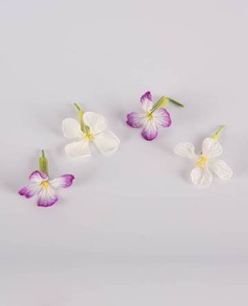 Rat Tail Radish Blooms
