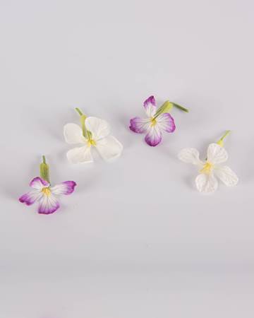 Rat Tail Radish Blooms