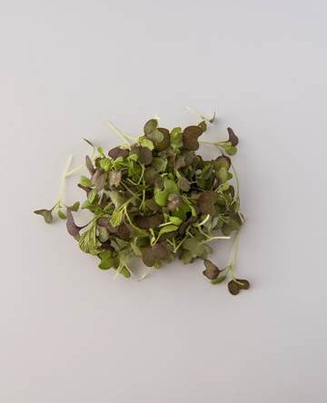 Red Mustard