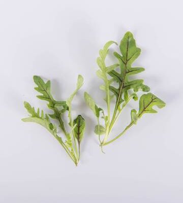 Red Ribbon Arugula