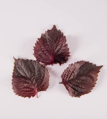 Red Shiso Leaves