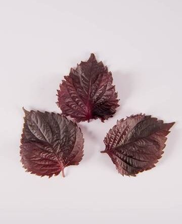 Red Shiso Leaves