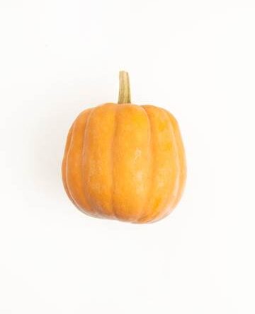 Robin's Koginut Squash