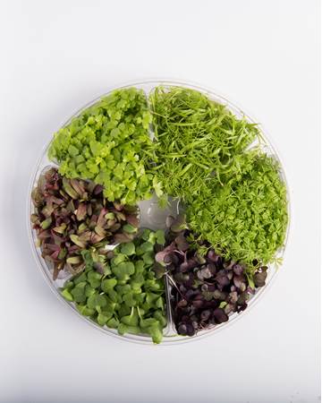 Root Crop™ Blend Small Bites