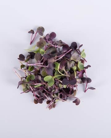 Root Crop™ Blend Small Bites - Image 3